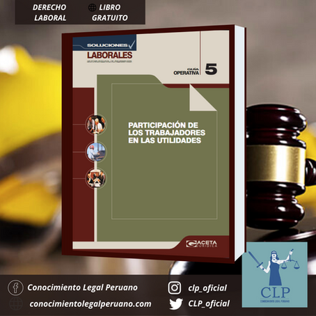 PARTICIPACIÓN DE LOS TRABAJADORES EN LAS UTILIDADES | DESCARGA EN PDF