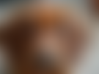 Top-Quality Health-Tested Dachshund Puppies for Sale