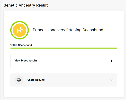 Screenshot 2025-08-12 154802.png