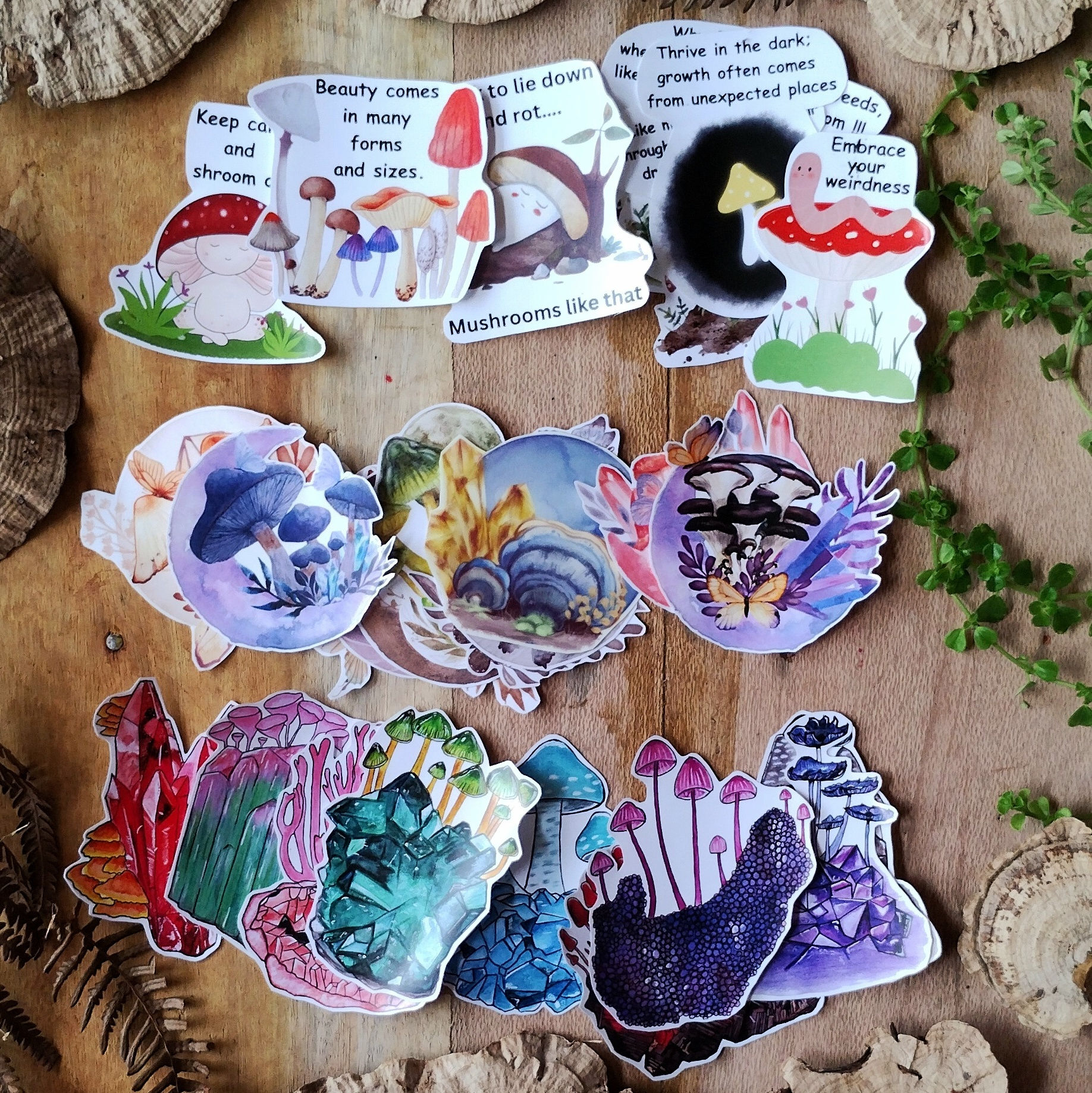 Jumbo stickers pack, 4 different mushroom stickers sets