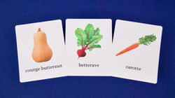 Echantillon du jeu d'images classifiées sur les légumes