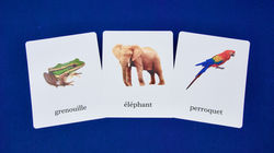 Echantillon du jeu d'images classifiées sur les animaux du monde