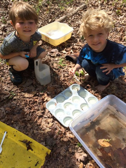 Boys looking at invertebrates