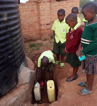 Water Collection 2, 2019-09-17 at 12.10_edited.jpg