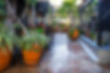 Casa Del Sol.venue.jpg