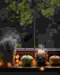 Soy candle with plant and pumpking in a window