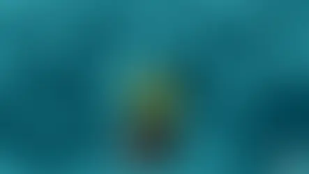 Las Grandes Mujeres Escritoras que el Machismo Invisibilizó