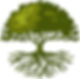 Oak Tree representation of Great Oak Park in Oakland New Jersey