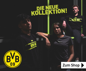 BVB3.gif