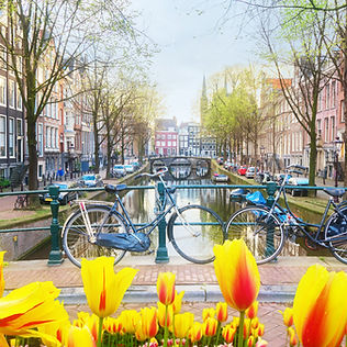 Amsterdam, The Netherlands tulips along the river