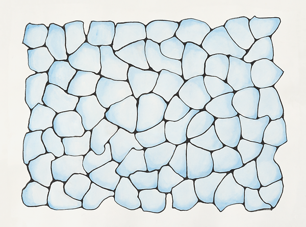 ice meadow 3.png