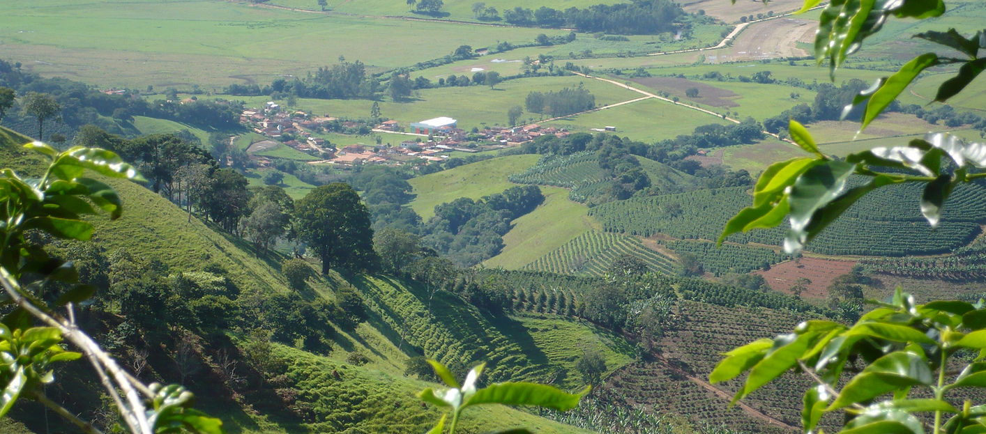 Brazil-farm4.jpg