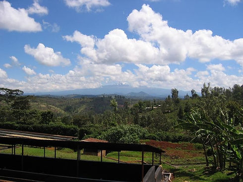 Kenya-DryMill.jpg