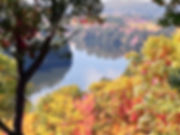 20181010_121428.jpeg