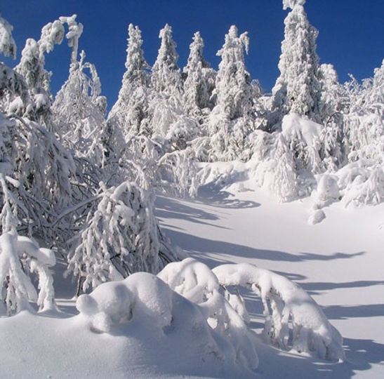 motoneige-canada-paysage