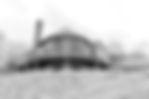 IMG_3706psd.jpeg