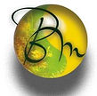 Logo- Domaine baie Mud