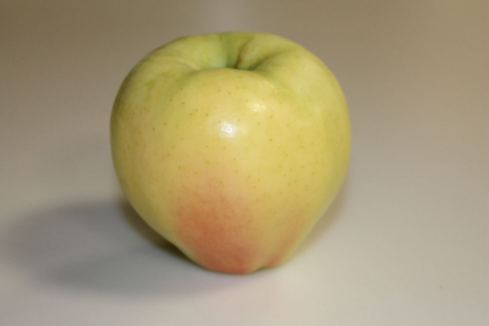 Thumbnail: Ginger Gold (Grade B)