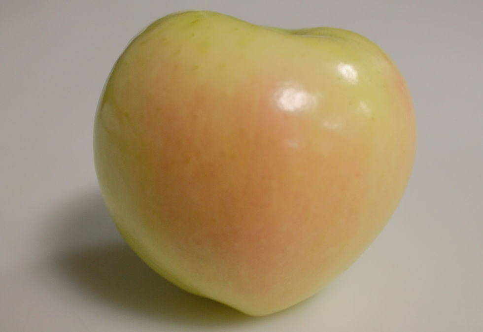 Thumbnail: Ginger Gold (Grade B)