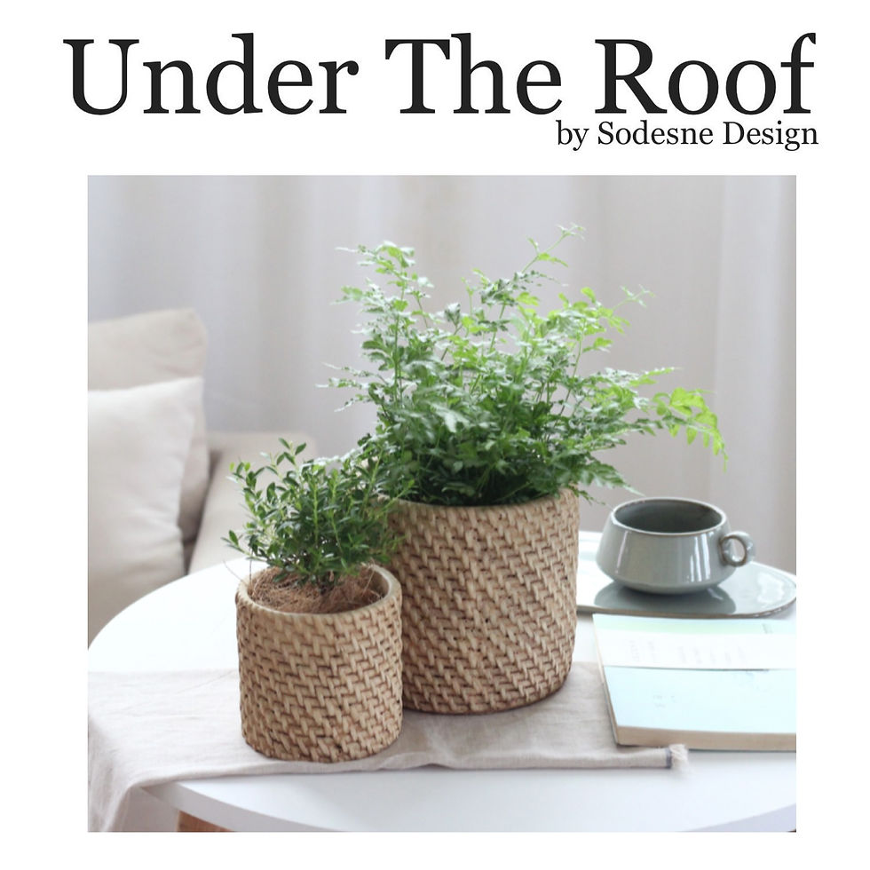 Thumbnail: PLAIT CEMENT POT