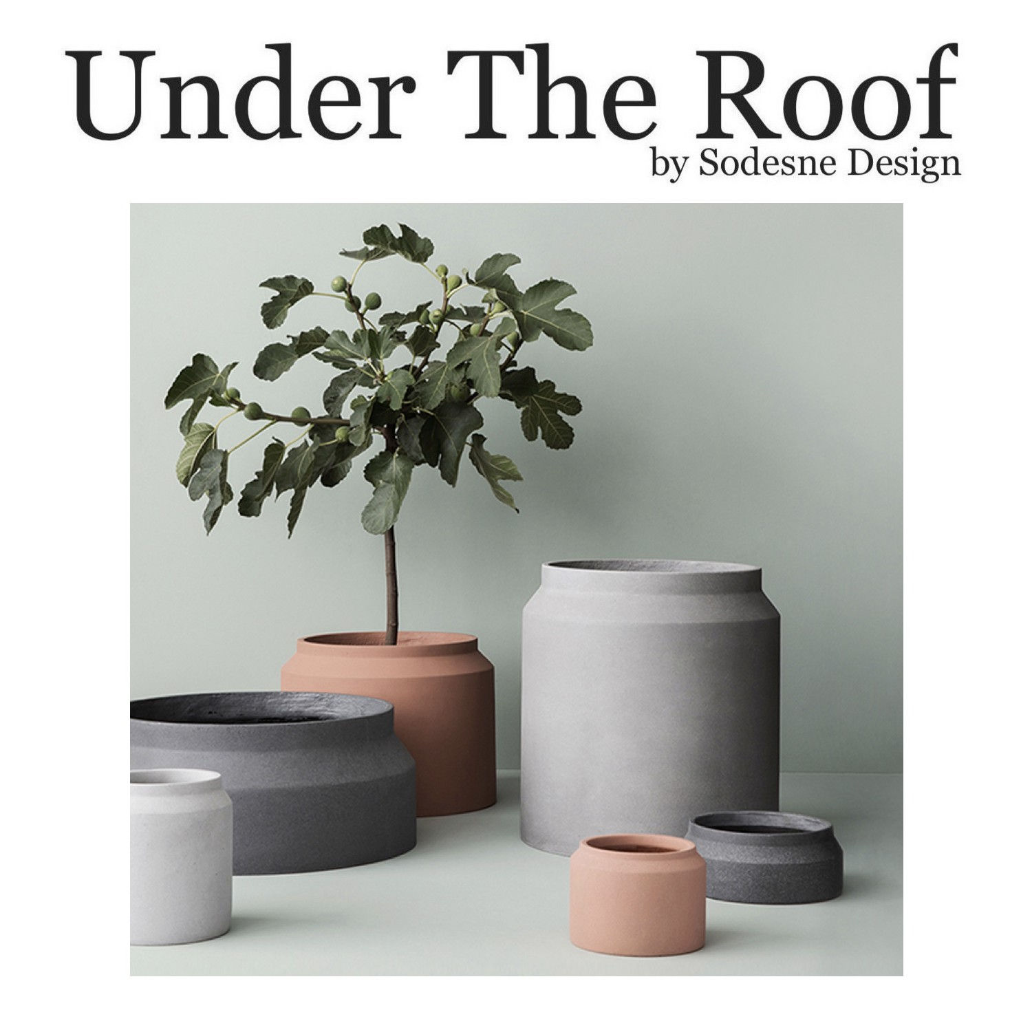 FERM (Tall) Cement Pot