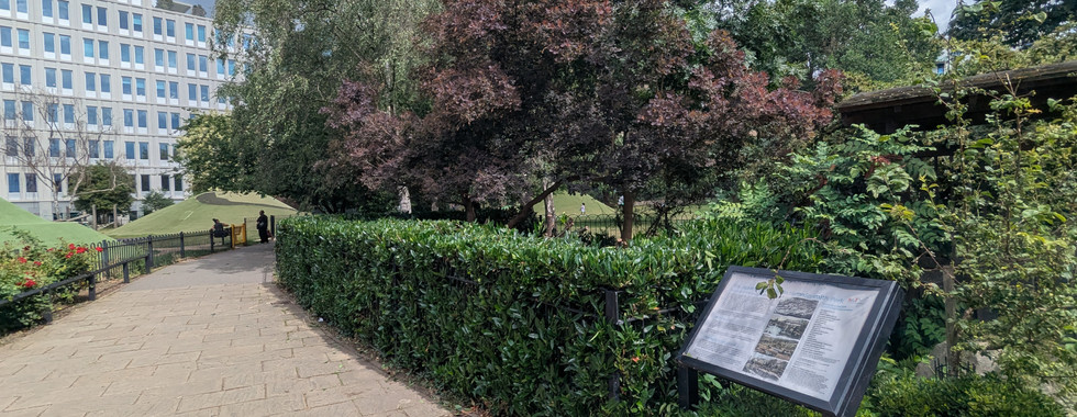 A paved path alongside a clipped laurel hedge, with a copper-leaved acer, an interpretation sign and grassy mounds beyond.