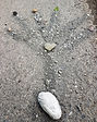 Foto 6 Holz.jpg