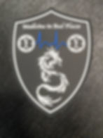 pvc logo patch Shield with dragon