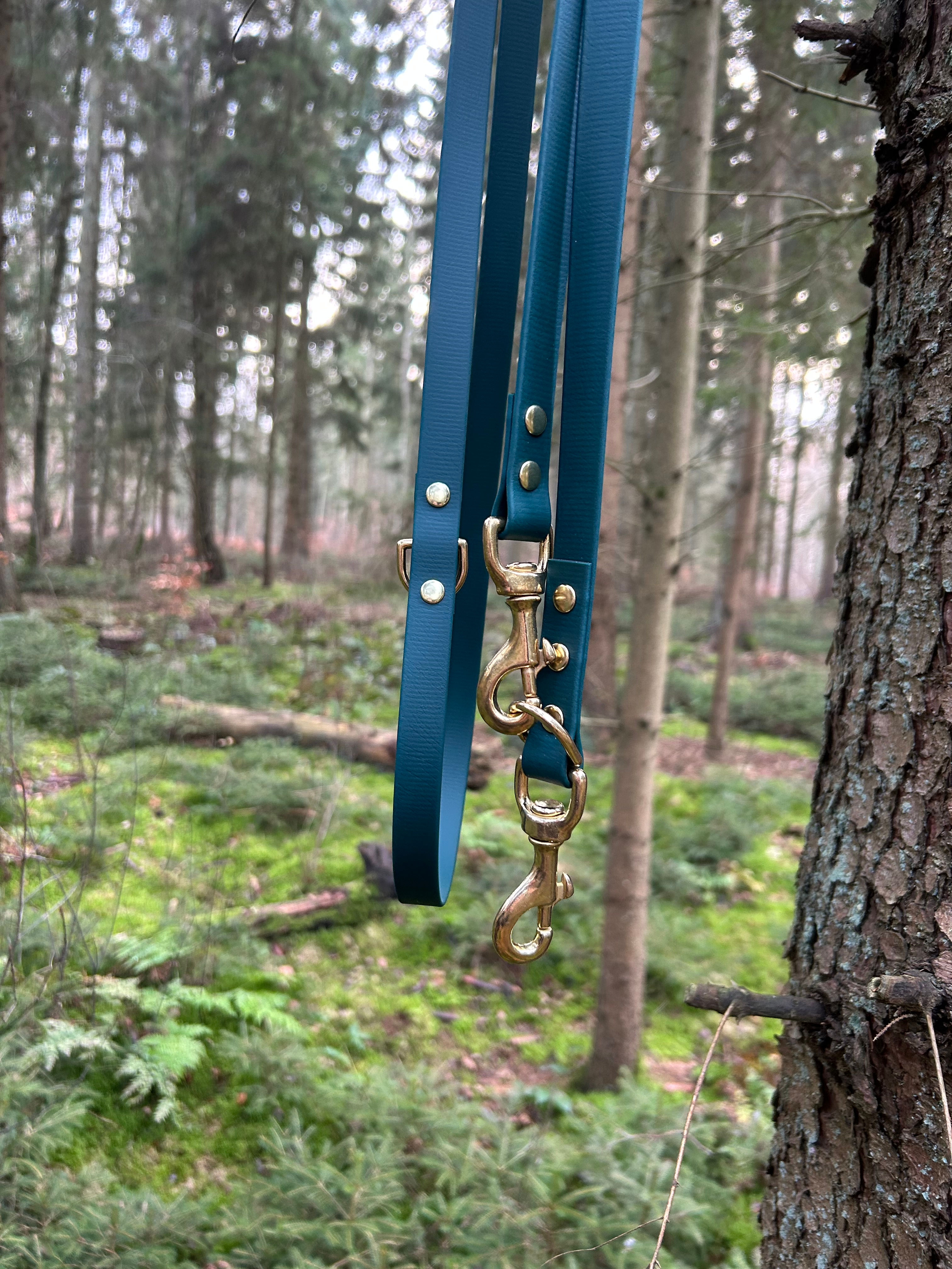 Führleine - Biothane