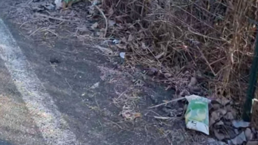 Cavaria con Premezzo sommersa dai rifiuti: la via Elsa Morante è diventata il “festival della spazzatura”