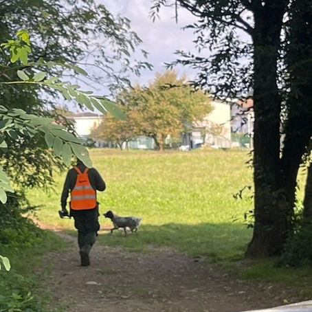 🦴 Cani, fucili e fagiani: a Cairate il bosco è diventato zona grigia