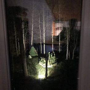 Front Yard.jpg