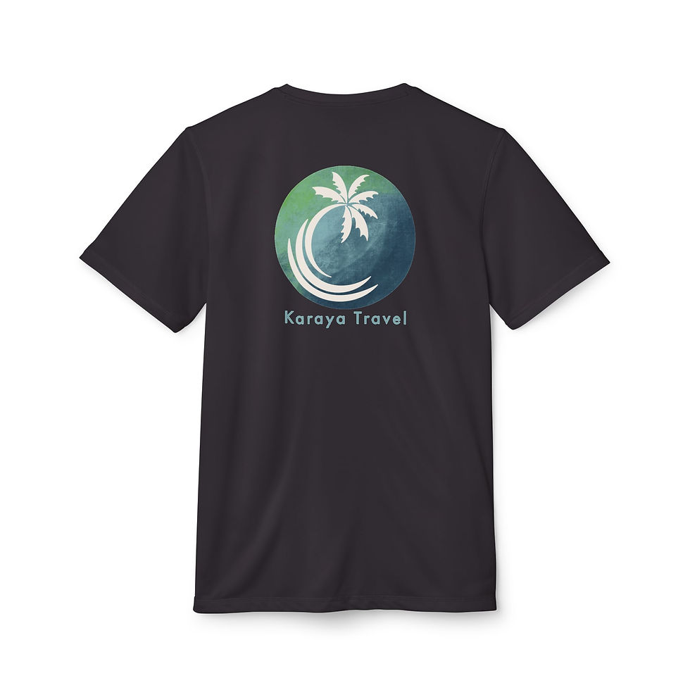 Black Karaya Travel T-shirt with palm tree logo