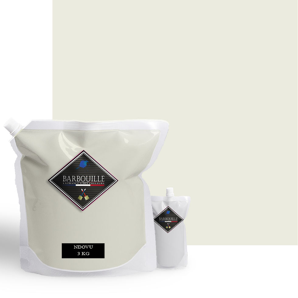 Miniature : Peinture acrylique couleur blanche NDOVO