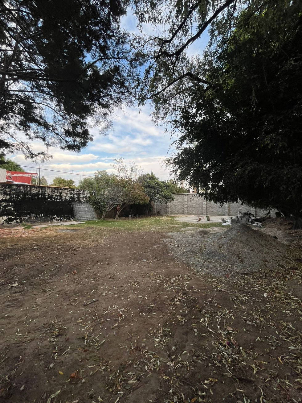 WhatsApp Image 2026-01-21 at 5.58.10 PM (2)