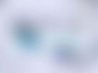 Σκαθάρι μέσα στο χιόνι - PestBlog