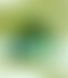 Μικροσκοπικός κρότος με μακρύ πόδια σε κοντινό πλάνο σε πράσινες αποχρώσεις. Διακρίνεται το λογότυπο "PestPro" πάνω του.