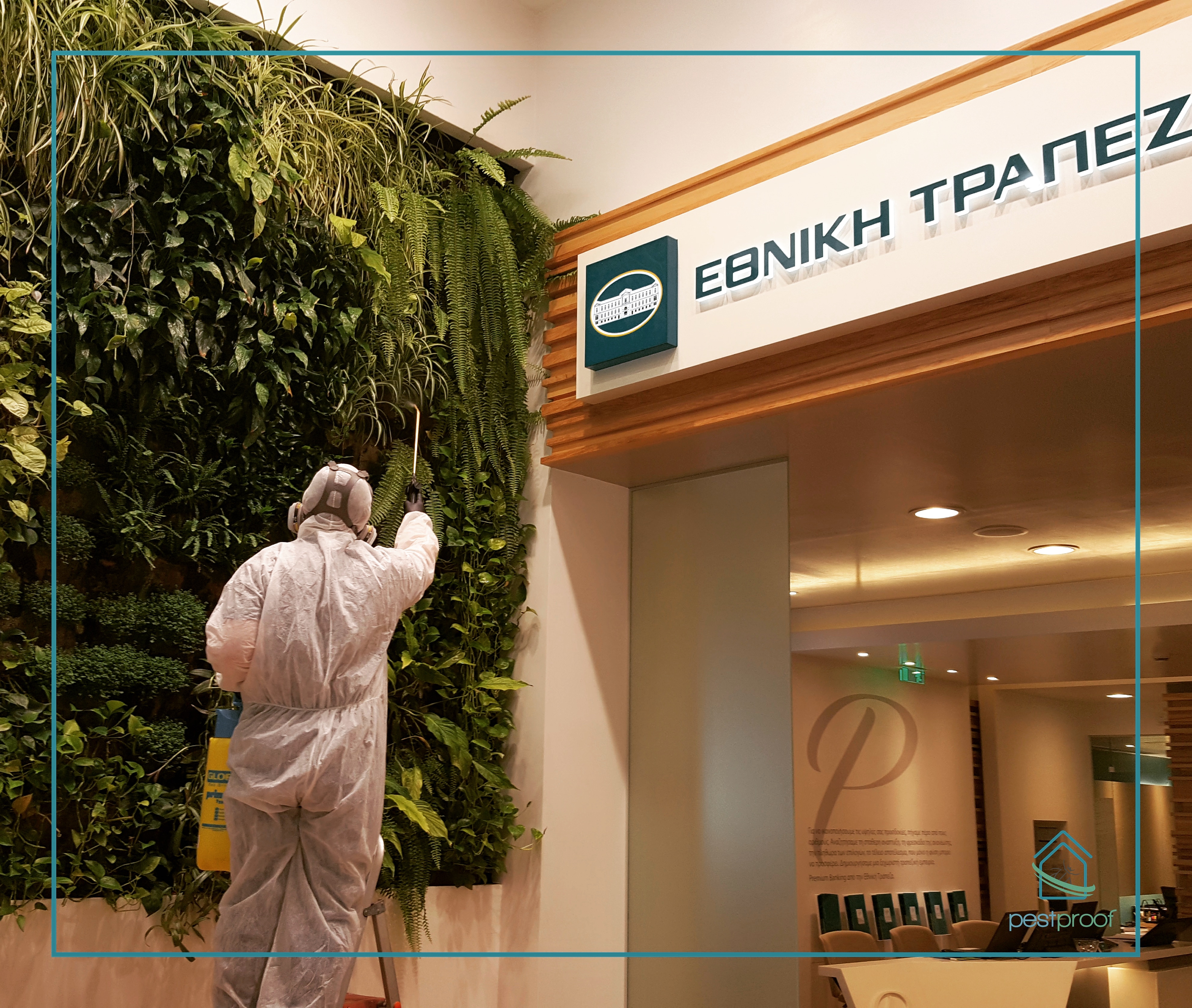 Απεντόμωση Τράπεζας