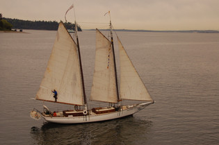 Schooner Kia Ora
