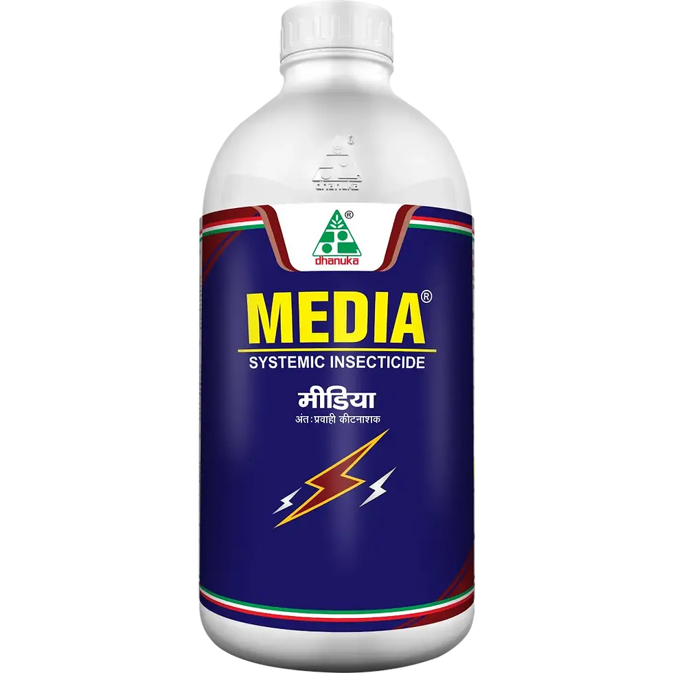 Media