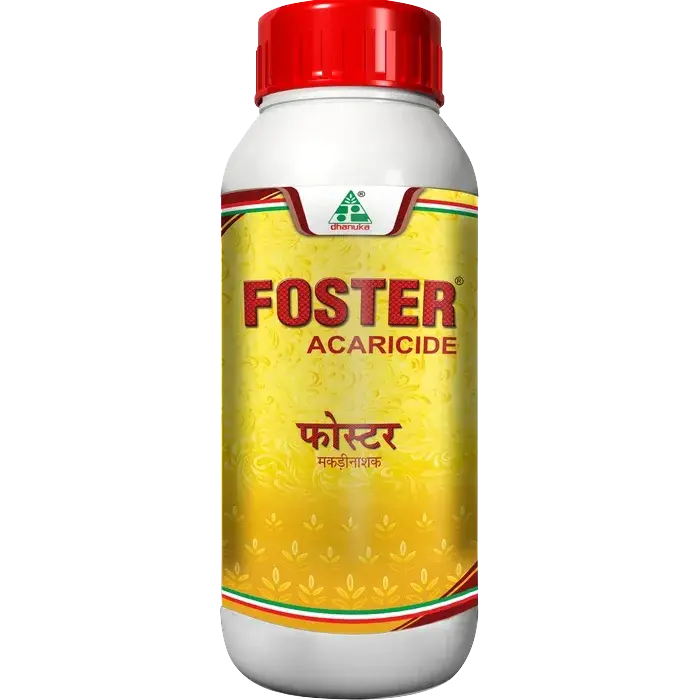Foster