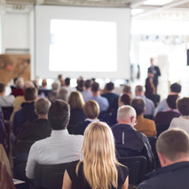 The Haven Network: Certified Haven Projects