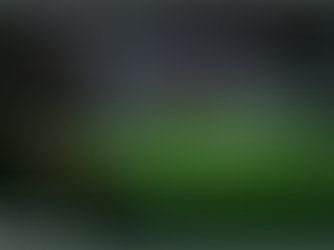 Elsteraue Bullen auf Reisen: Am 5. November ging´s nach Glasgow zu Celtic!