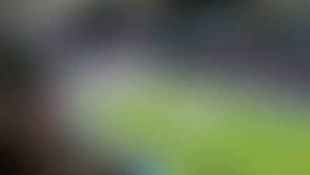 Ein unvergessliches Fußballabenteuer: Die Auswärtsfahrt der ELSTERAUE BULLEN nach Madrid