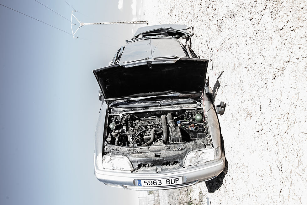 Escultura, instalación, fotografía Timsam Harding