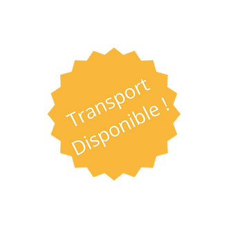 C’EST GRATUIT (3).png