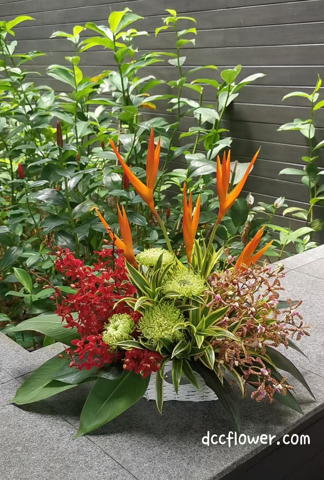 Tropical Flower Arrangement