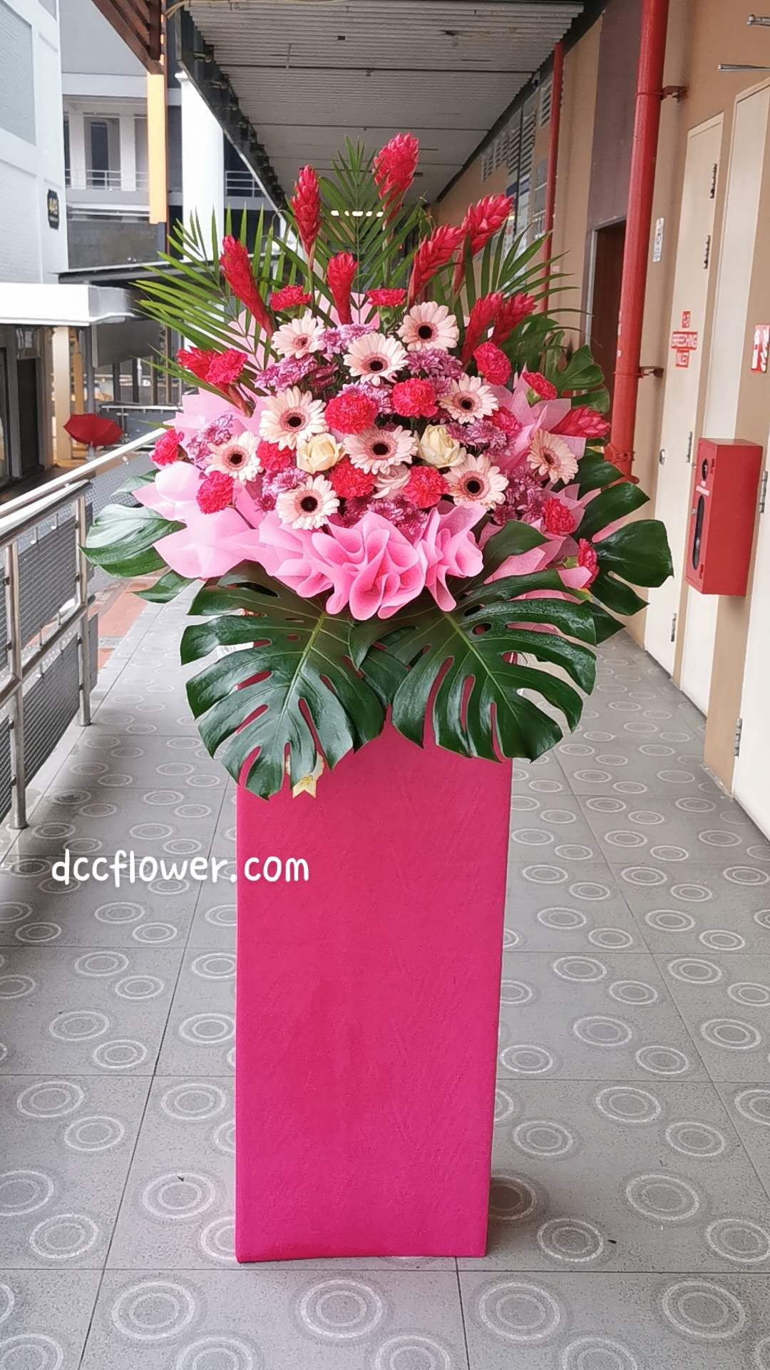 Opening Flower Stand