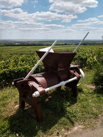 Pietroasele Research Station & Winery