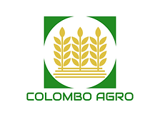 Facebook Profile Picture.png